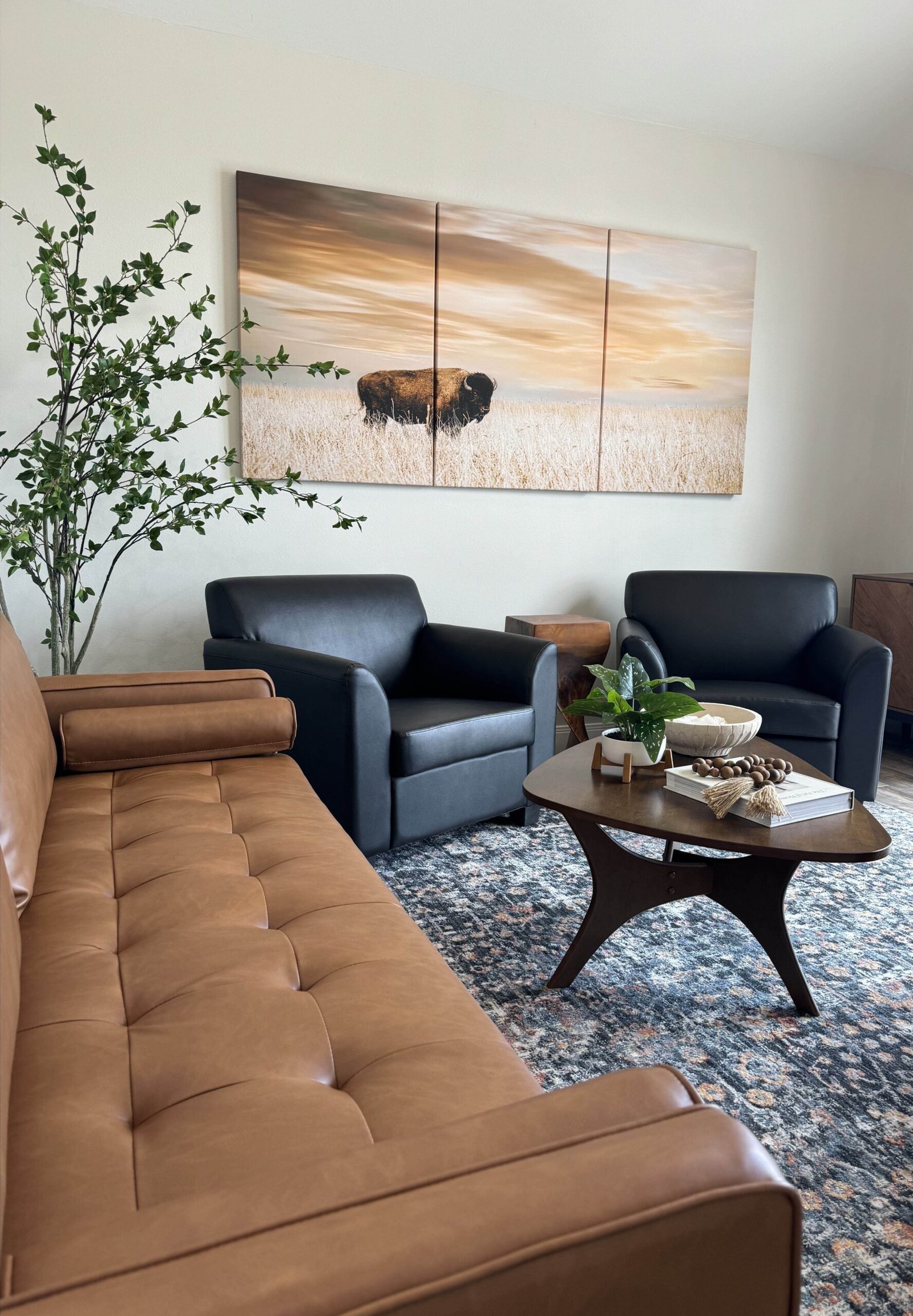 Buffalo Waiting Room Scaled